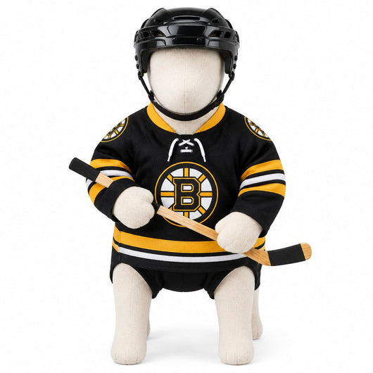 Boston Bruins dog hockey costume with jersey, helmet and stick